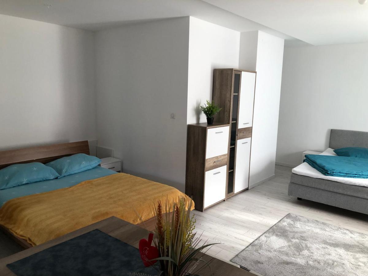 Appartement Willa Chez Willi Niederschaeffolsheim Экстерьер фото